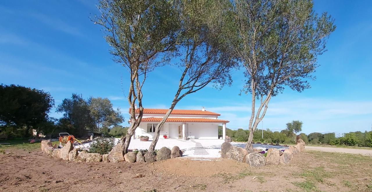 Casa Vacanze Olbia - Alebea - 외부 사진