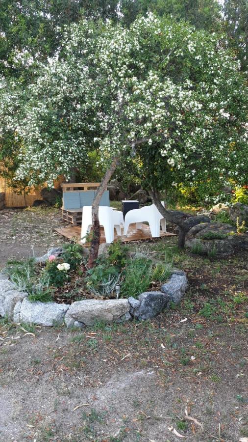 Casa Vacanze Olbia - Alebea - 외부 사진