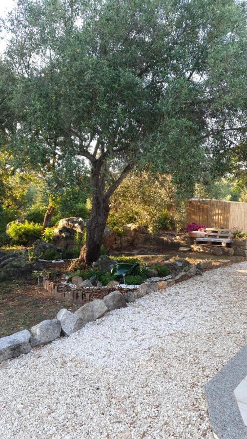 Casa Vacanze Olbia - Alebea - 외부 사진