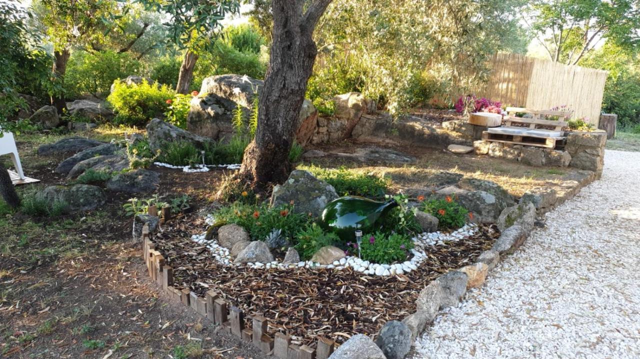 Casa Vacanze Olbia - Alebea - 외부 사진