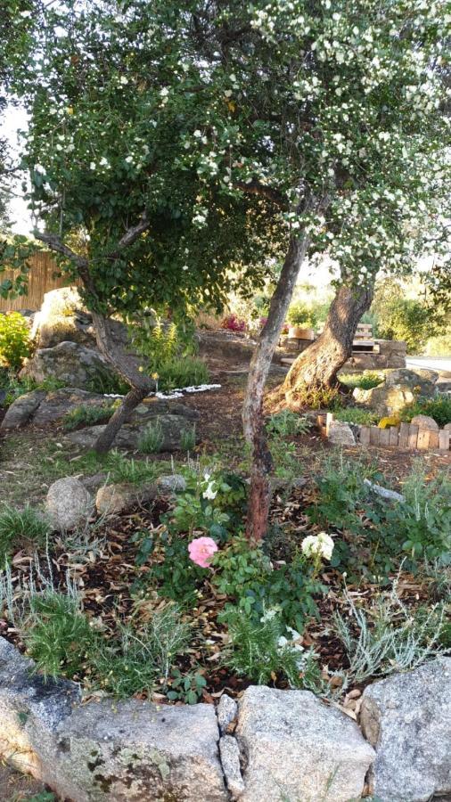 Casa Vacanze Olbia - Alebea - 외부 사진